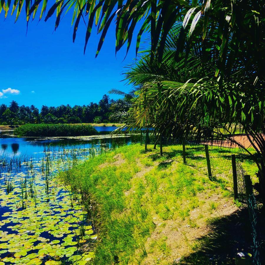Reserva Do Paiva - A Melhor Casa Para Temporada Recife Bagian luar foto